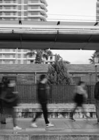 完美之狼：镜像审判