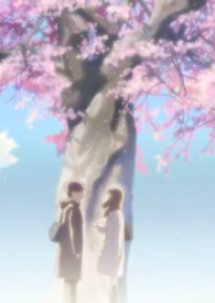 《樱花树下》