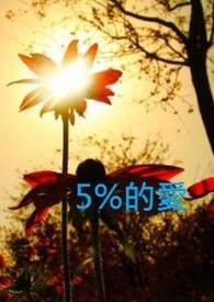 5%的爱