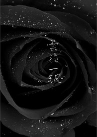 《昙花一现》