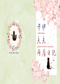 【火影忍者】卡伊夫夫同居日记