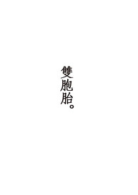 双胞胎