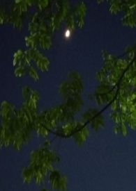 纯爱战神