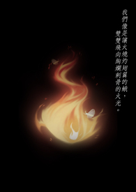 飞蛾扑火
