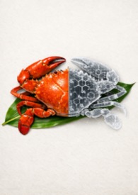 味觉系谱学：最后的办桌