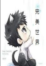 完美的世界