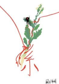 系